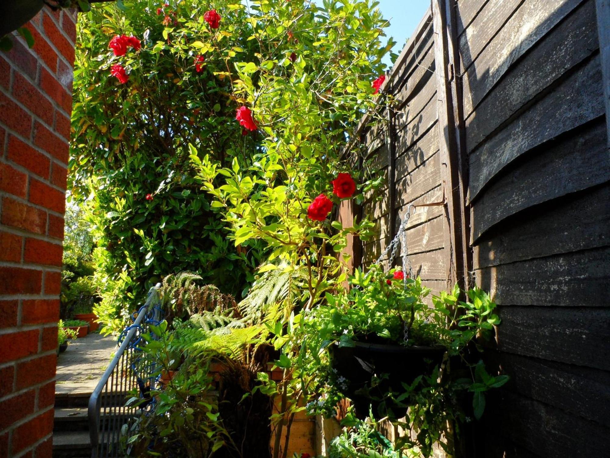 Galway Guest House Weymouth Exterior photo